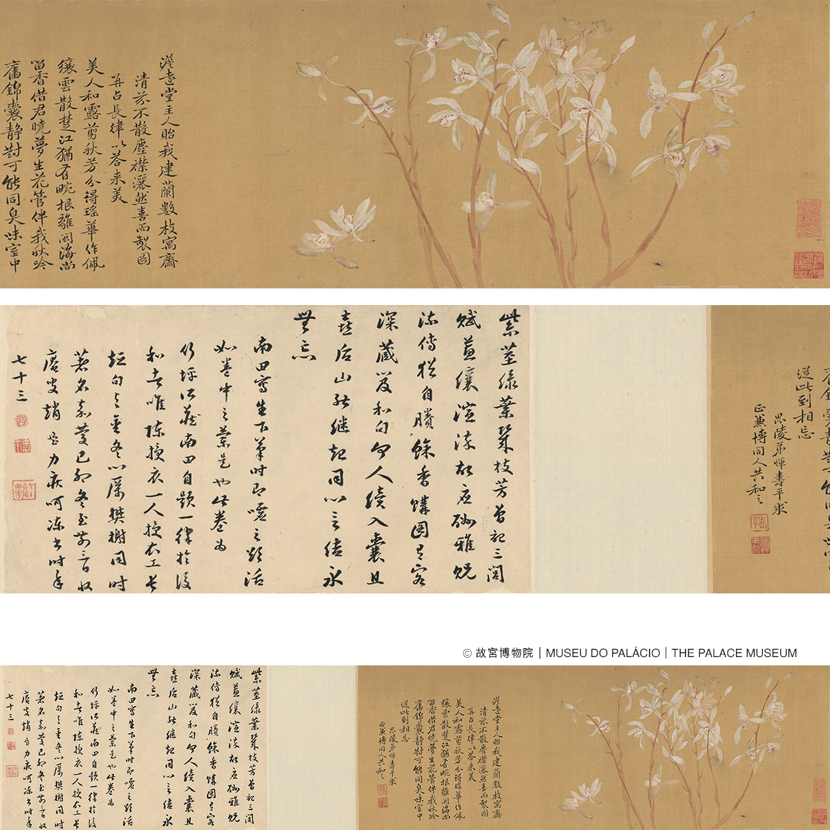 惲壽平 建蘭圖